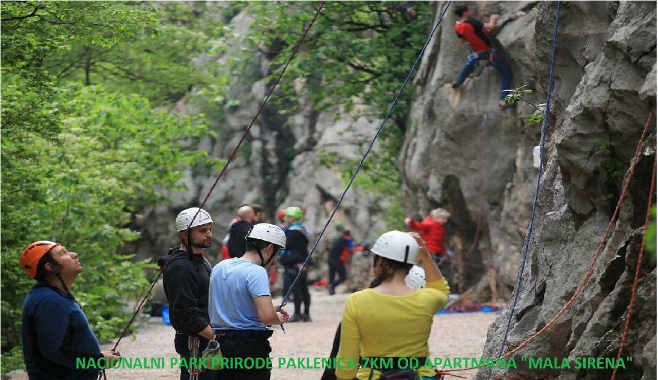 Apartmani Mala Sirena Maslenica Luaran gambar